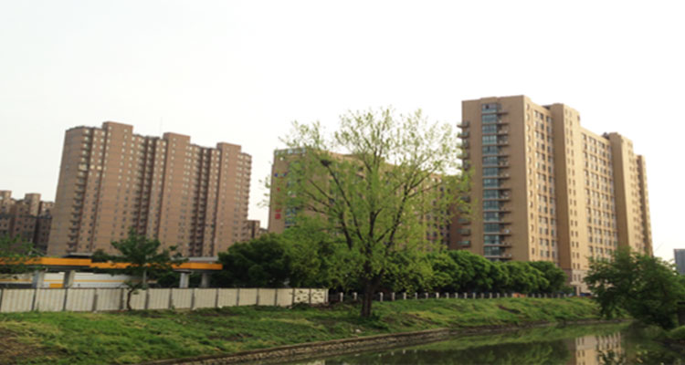 750x4004.jpg